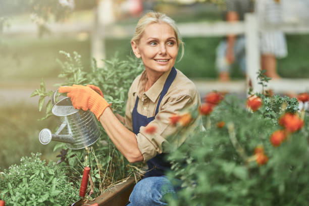 Ekspozimi në diell dhe sinteza e vitaminës D